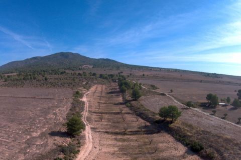 Helårsgrund i Yecla, Murcia, Yecla - € 623.000 | Ref: 44058c2603-SS - foto 5