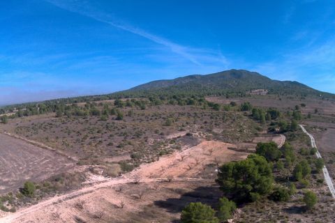 Helårsgrund i Yecla, Murcia, Yecla - € 623.000 | Ref: 44058c2603-SS - foto 7