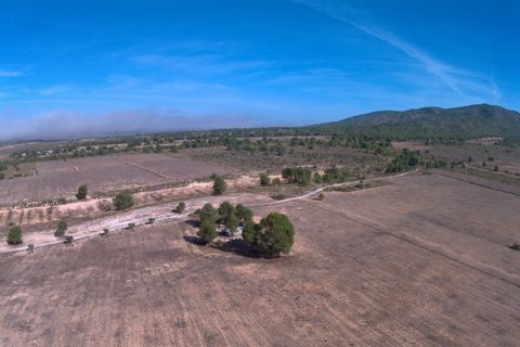 Helårsgrund i Yecla, Murcia, Yecla - € 623.000 | Ref: 44058c2603-SS - foto 9