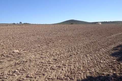 Helårsgrund i Yecla, Murcia, Yecla - € 623.000 | Ref: 44058c2603-SS - foto 10