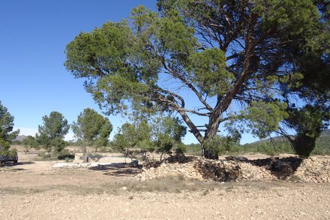 Helårsgrund i Yecla, Murcia, Yecla - € 623.000 | Ref: 44058c2603-SS - foto 12