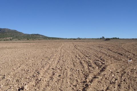 Helårsgrund i Yecla, Murcia, Yecla - € 623.000 | Ref: 44058c2603-SS - foto 13