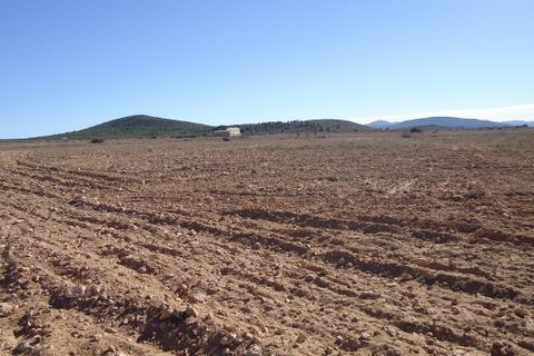 Helårsgrund i Yecla, Murcia, Yecla - € 623.000 | Ref: 44058c2603-SS - foto 14