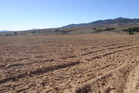 Helårsgrund i Yecla, Murcia, Yecla - € 623.000 | Ref: 44058c2603-SS - foto 15