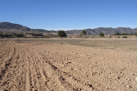 Helårsgrund i Yecla, Murcia, Yecla - € 623.000 | Ref: 44058c2603-SS - foto 16