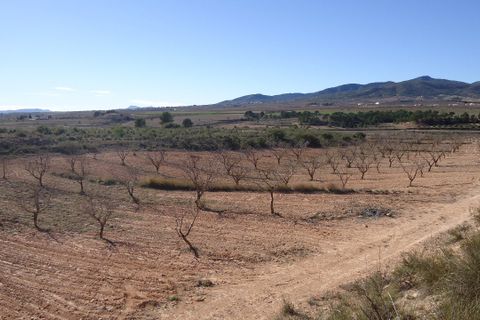 Helårsgrund i Yecla, Murcia, Yecla - € 623.000 | Ref: 44058c2603-SS - foto 17