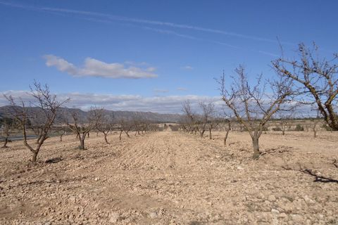 Helårsgrund i Yecla, Murcia, Yecla - € 623.000 | Ref: 44058c2603-SS - foto 18