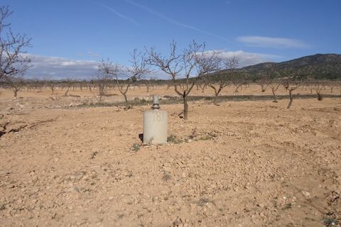 Helårsgrund i Yecla, Murcia, Yecla - € 623.000 | Ref: 44058c2603-SS - foto 20