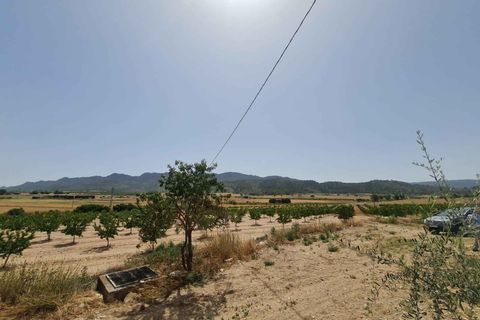 Helårsgrund i Yecla, Murcia, Yecla - € 42.995 | Ref: 44043c2603 - foto 4