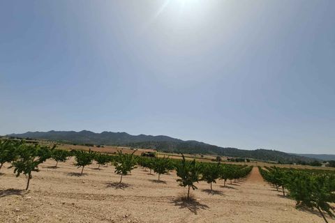 Helårsgrund i Yecla, Murcia, Yecla - € 42.995 | Ref: 44043c2603 - foto 6