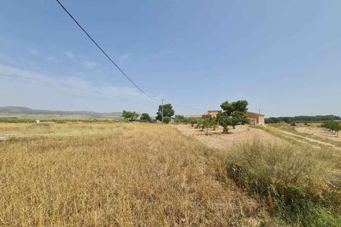 Helårsgrund i Yecla, Murcia, Yecla - € 42.995 | Ref: 44043c2603 - foto 7