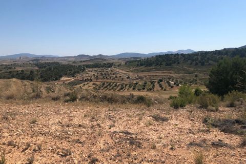 Terra a La Zarza, Murcia, La Zarza - € 59.900 | Ref: 44050c2603 - foto 2