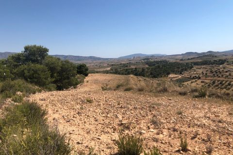 Terra a La Zarza, Murcia, La Zarza - € 59.900 | Ref: 44050c2603 - foto 4