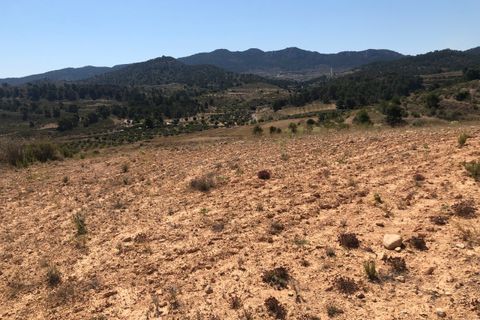 Terra a La Zarza, Murcia, La Zarza - € 59.900 | Ref: 44050c2603 - foto 5
