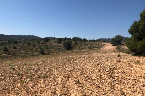 Terra a La Zarza, Murcia, La Zarza - € 59.900 | Ref: 44050c2603 - foto 6