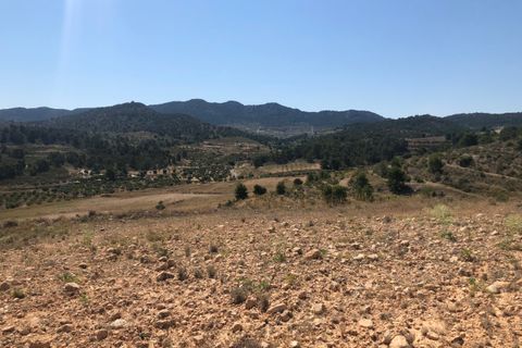Terra a La Zarza, Murcia, La Zarza - € 59.900 | Ref: 44050c2603 - foto 7