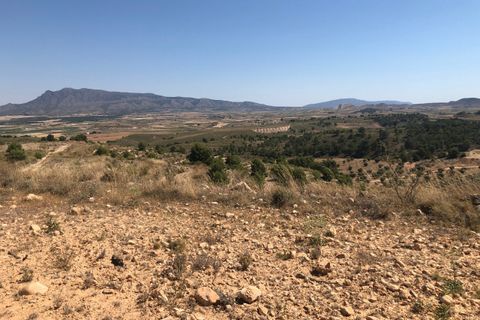 Terra a La Zarza, Murcia, La Zarza - € 59.900 | Ref: 44050c2603 - foto 8