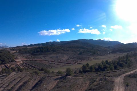 Terra a La Zarza, Murcia, La Zarza - € 34.900 | Ref: 44034c2603 - foto 2
