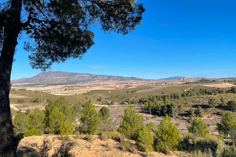 Terra a La Zarza, Murcia, La Zarza - € 34.900 | Ref: 44034c2603 - foto 3