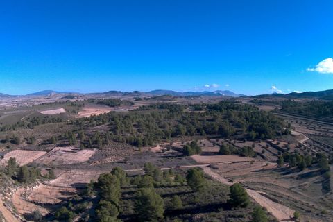 Terra a La Zarza, Murcia, La Zarza - € 34.900 | Ref: 44034c2603 - foto 5