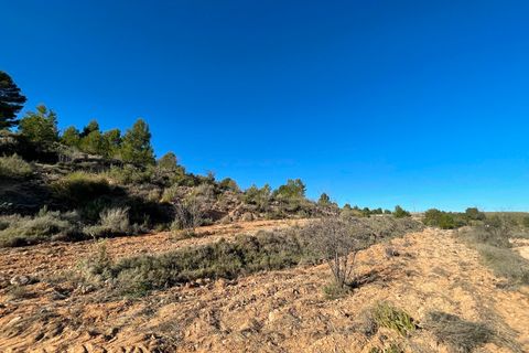 Terra a La Zarza, Murcia, La Zarza - € 34.900 | Ref: 44034c2603 - foto 10