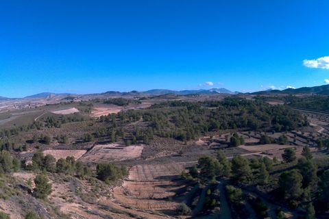 Terra a La Zarza, Murcia, La Zarza - € 34.900 | Ref: 44033c2603 - foto 6