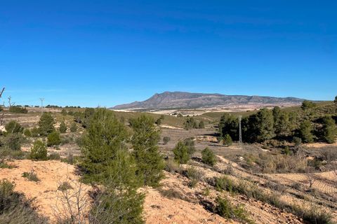 Terra a La Zarza, Murcia, La Zarza - € 34.900 | Ref: 44033c2603 - foto 7