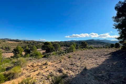Terra a La Zarza, Murcia, La Zarza - € 34.900 | Ref: 44033c2603 - foto 8