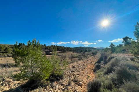 Terra a La Zarza, Murcia, La Zarza - € 34.900 | Ref: 44033c2603 - foto 9