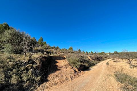 Terra a La Zarza, Murcia, La Zarza - € 34.900 | Ref: 44033c2603 - foto 11