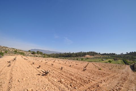 Terra a La Zarza, Murcia, La Zarza - € 59.900 | Ref: 44022c2603 - foto 2