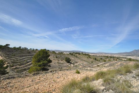 Terra a La Zarza, Murcia, La Zarza - € 59.900 | Ref: 44022c2603 - foto 3