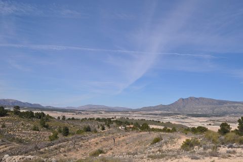 Terra a La Zarza, Murcia, La Zarza - € 59.900 | Ref: 44022c2603 - foto 4