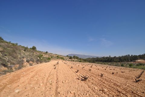 Terra a La Zarza, Murcia, La Zarza - € 59.900 | Ref: 44022c2603 - foto 5