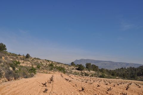 Terra a La Zarza, Murcia, La Zarza - € 59.900 | Ref: 44022c2603 - foto 6