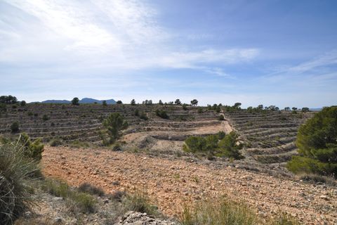 Terra a La Zarza, Murcia, La Zarza - € 59.900 | Ref: 44022c2603 - foto 7