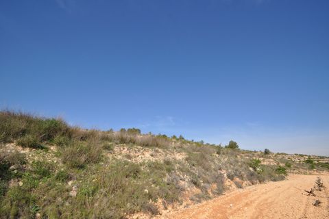 Terra a La Zarza, Murcia, La Zarza - € 59.900 | Ref: 44022c2603 - foto 8
