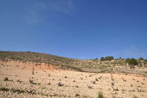 Terra a La Zarza, Murcia, La Zarza - € 59.900 | Ref: 44022c2603 - foto 10