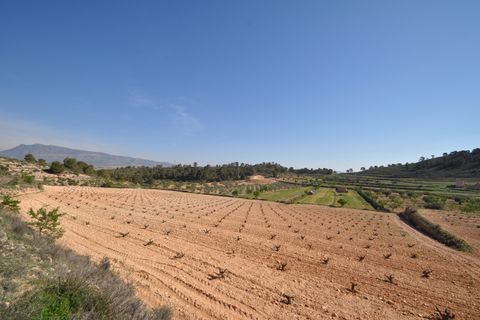 Terra a La Zarza, Murcia, La Zarza - € 59.900 | Ref: 44022c2603 - foto 11