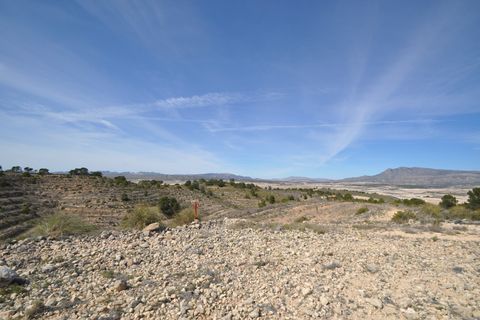 Terra a La Zarza, Murcia, La Zarza - € 59.900 | Ref: 44022c2603 - foto 13