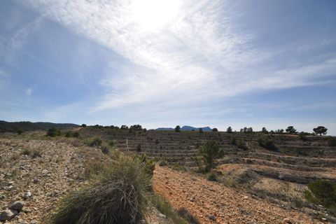Terra a La Zarza, Murcia, La Zarza - € 59.900 | Ref: 44022c2603 - foto 14