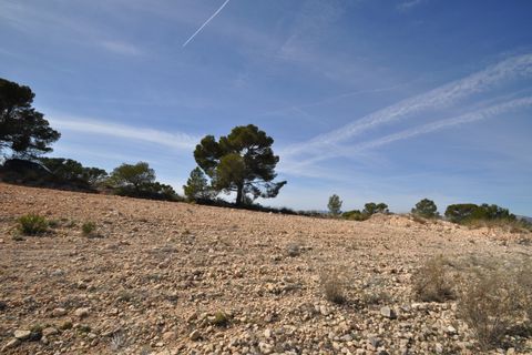 Terra a La Zarza, Murcia, La Zarza - € 39.900 | Ref: 44021c2603 - foto 2