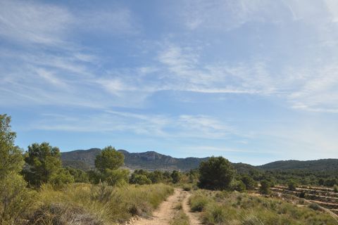 Terra a La Zarza, Murcia, La Zarza - € 39.900 | Ref: 44021c2603 - foto 3