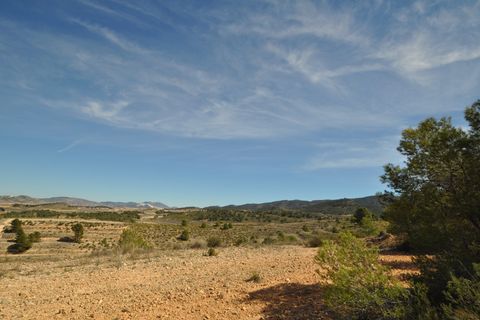 Terra a La Zarza, Murcia, La Zarza - € 39.900 | Ref: 44021c2603 - foto 4