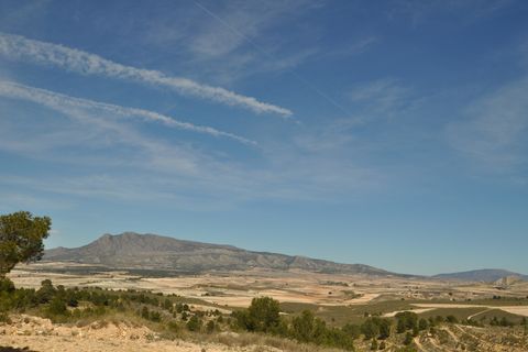 Terra a La Zarza, Murcia, La Zarza - € 39.900 | Ref: 44021c2603 - foto 5