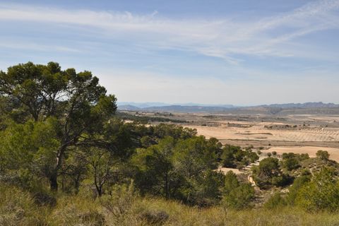 Terra a La Zarza, Murcia, La Zarza - € 39.900 | Ref: 44021c2603 - foto 6