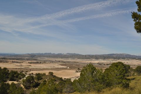 Terra a La Zarza, Murcia, La Zarza - € 39.900 | Ref: 44021c2603 - foto 7