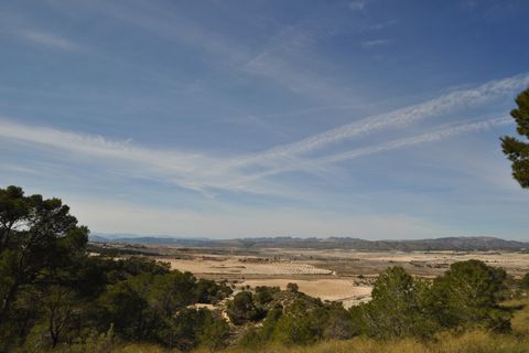 Terra a La Zarza, Murcia, La Zarza - € 39.900 | Ref: 44021c2603 - foto 9