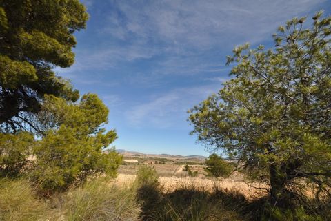Terra a La Zarza, Murcia, La Zarza - € 39.900 | Ref: 44021c2603 - foto 10