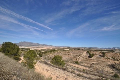 Terra a La Zarza, Murcia, La Zarza - € 39.900 | Ref: 44021c2603 - foto 11